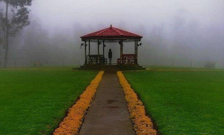 Tea Park